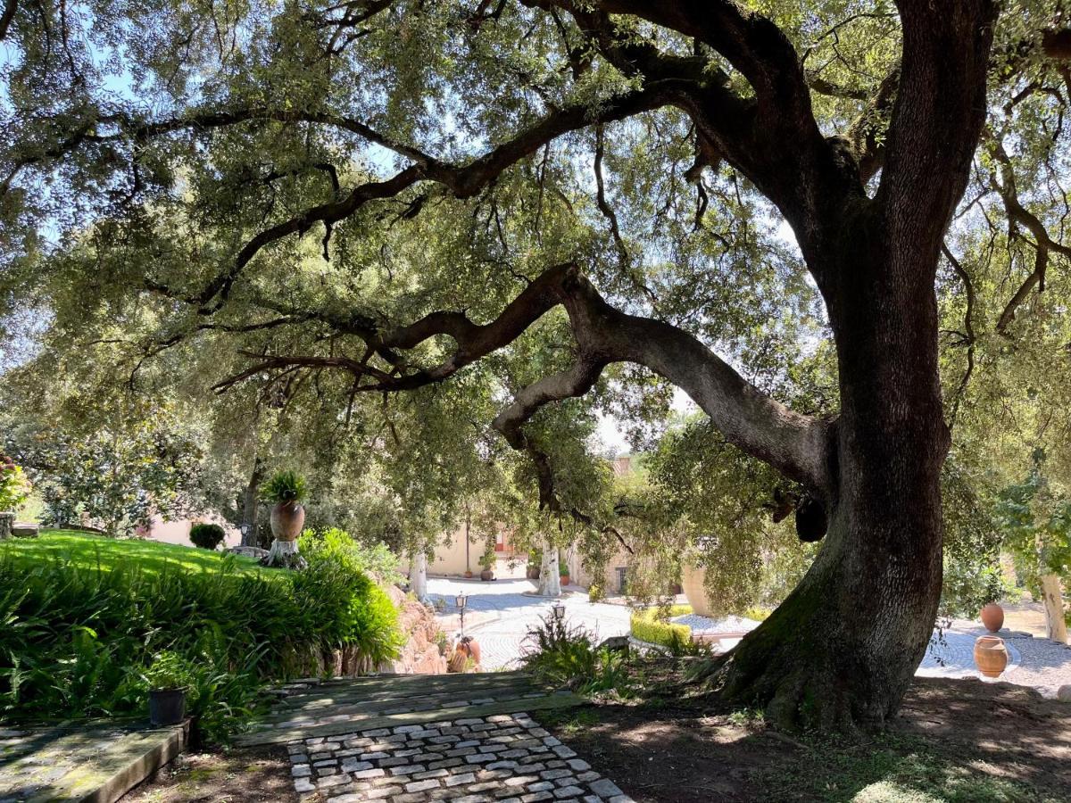 Masia Can Viver - Olive Oil Tourism B&B Bigues I Riells ภายนอก รูปภาพ