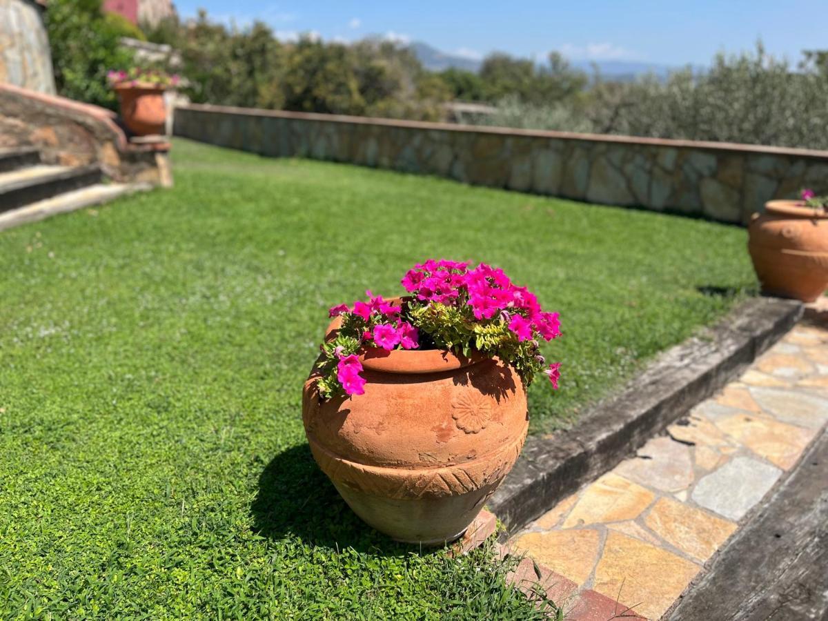 Masia Can Viver - Olive Oil Tourism B&B Bigues I Riells ภายนอก รูปภาพ