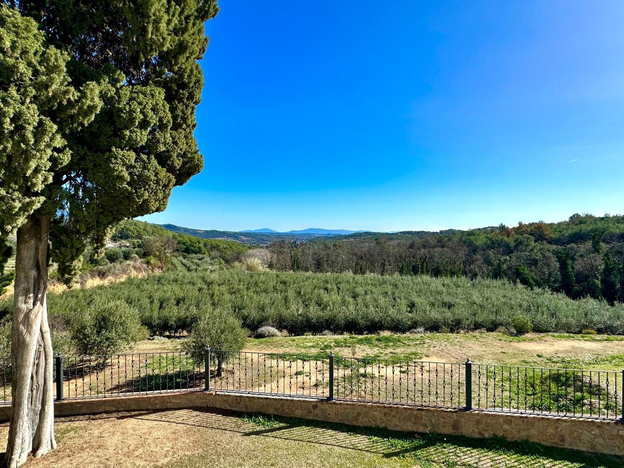Masia Can Viver - Olive Oil Tourism B&B Bigues I Riells ภายนอก รูปภาพ