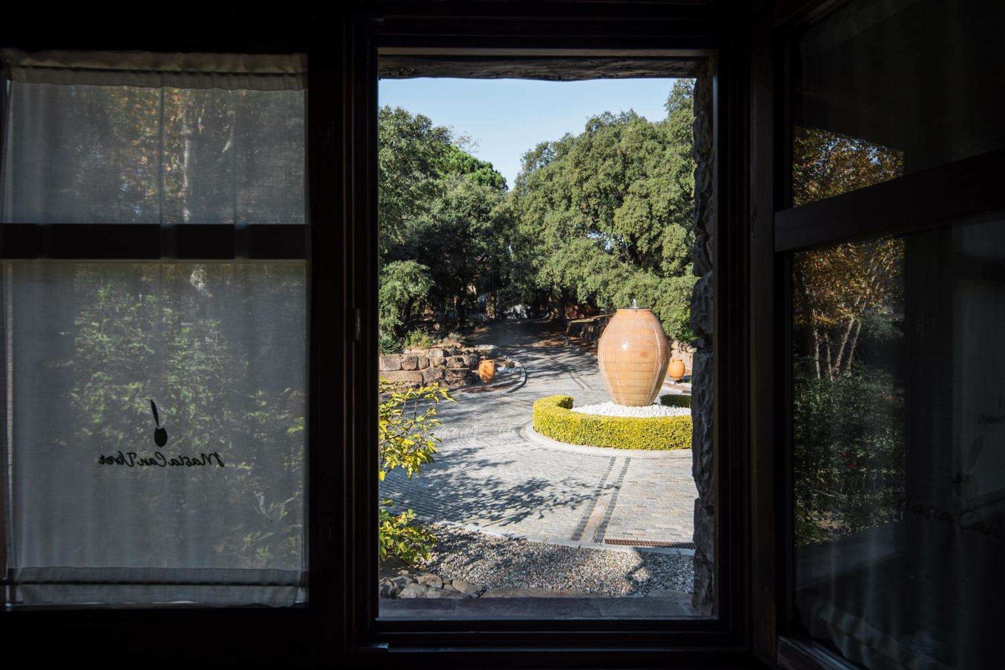 Masia Can Viver - Olive Oil Tourism B&B Bigues I Riells ห้อง รูปภาพ